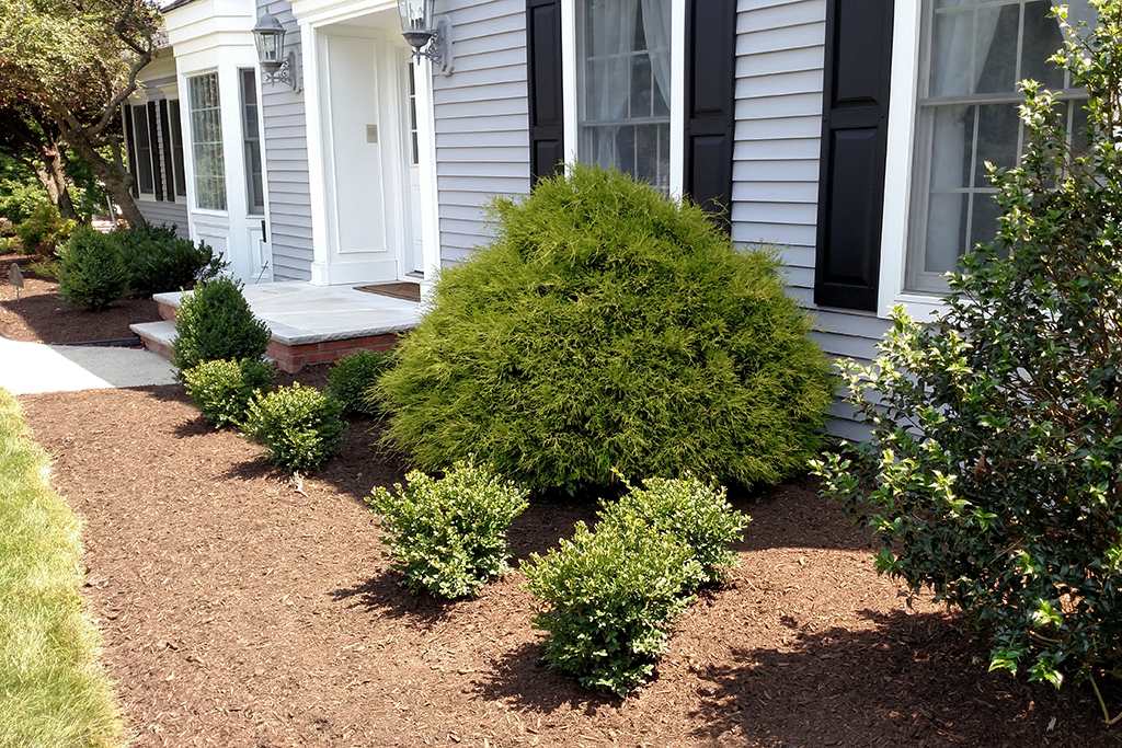 Landscape Design and Lawn Care: Praise from Bridgewater, NJ